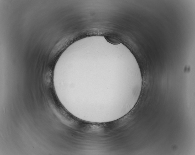 X0000110770166200907131242