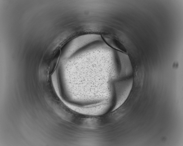 X0000110770168200907131242