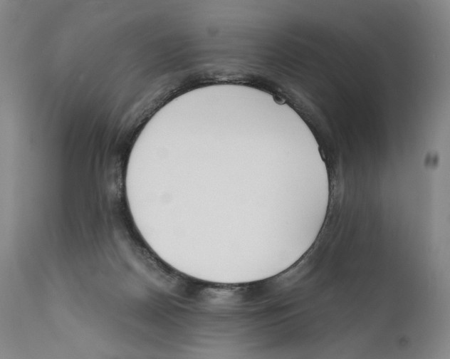 X0000110770170200907131242