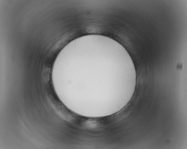 X0000110770171200907131242