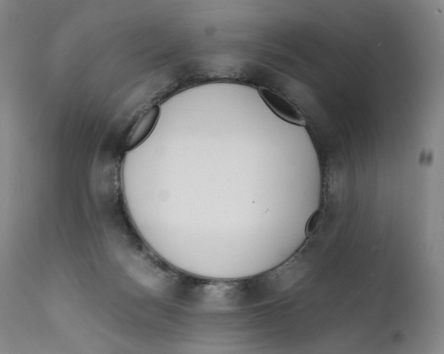 X0000110770172200907131242