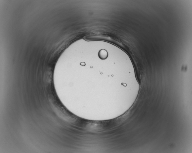 X0000110770174200907131242