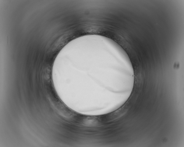 X0000110770175200907131242