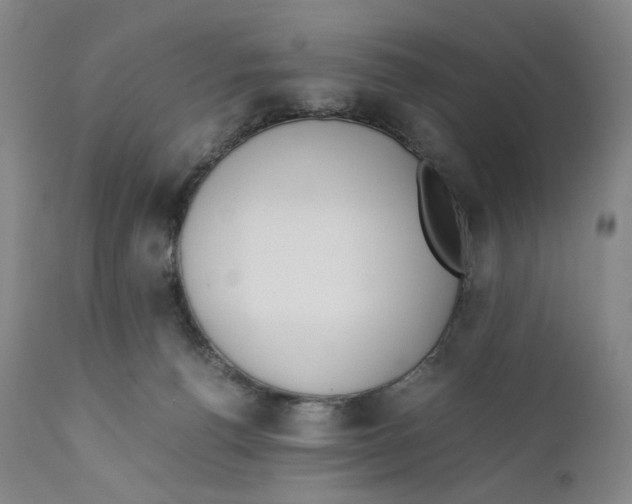 X0000110770176200907131242