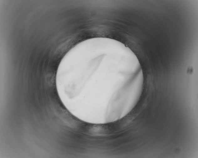 X0000110770177200907131242