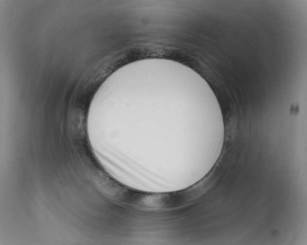 X0000110770178200907131242