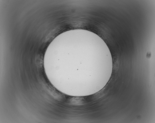 X0000110770179200907131242