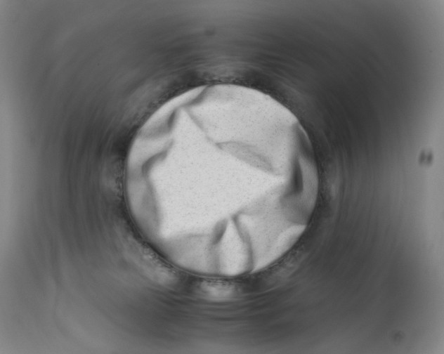 X0000110770181200907131242