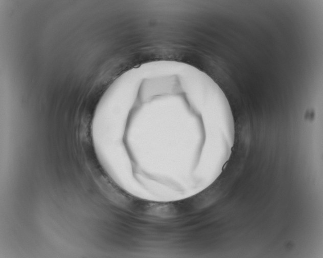 X0000110770185200907131243