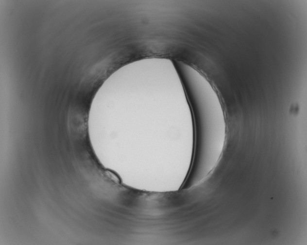 X0000110770186200907131243