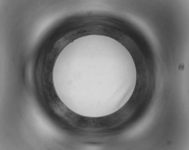 X0000110770189200907131243