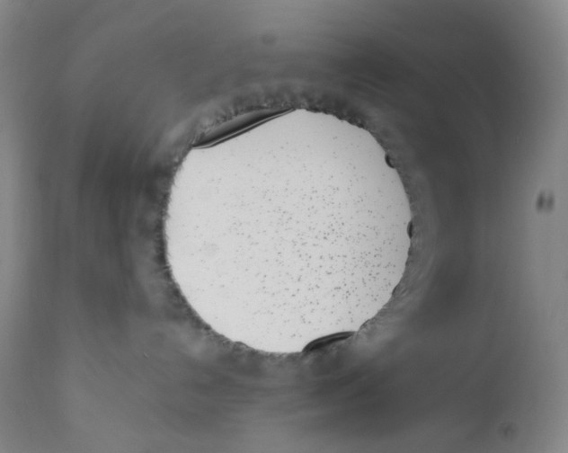 X0000110770192200907131243