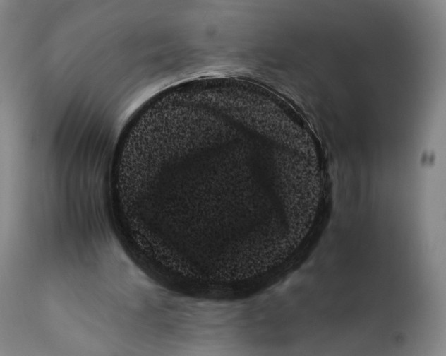 X0000110770196200907131242