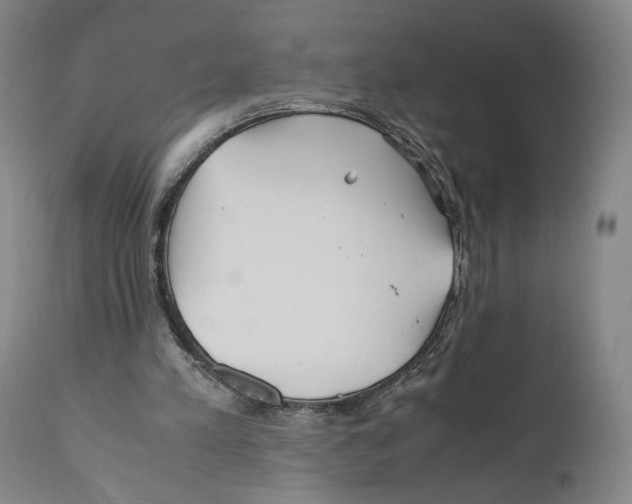 X0000110770197200907131242