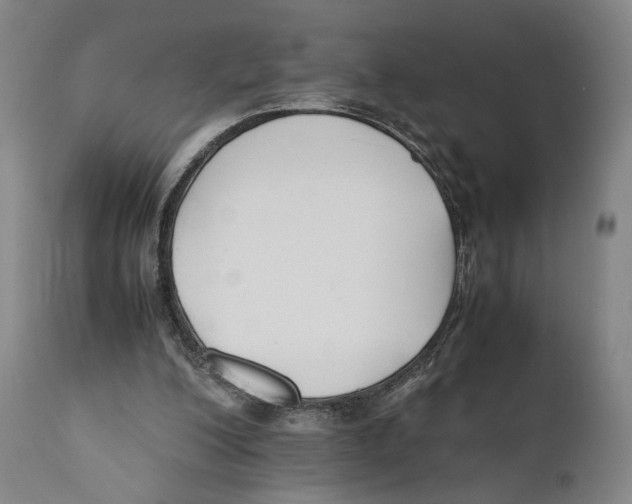 X0000110770200200907131242