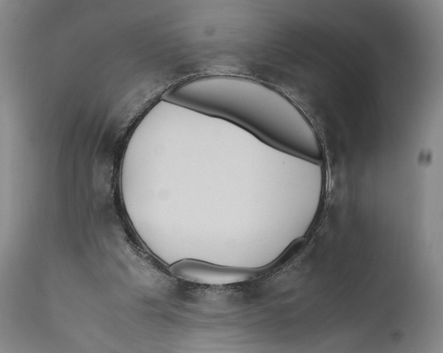 X0000110770201200907131242