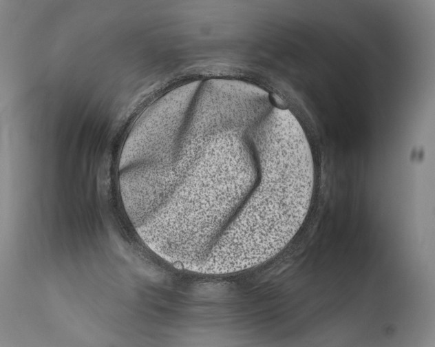 X0000110770202200907131242