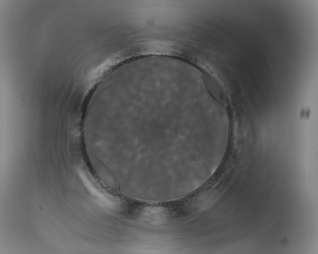 X0000110770203200907131242