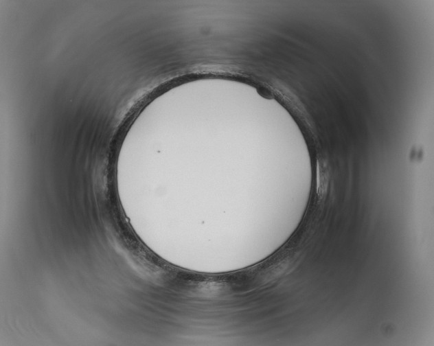 X0000110770204200907131242