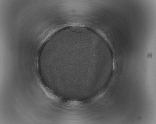 X0000110770205200907131242