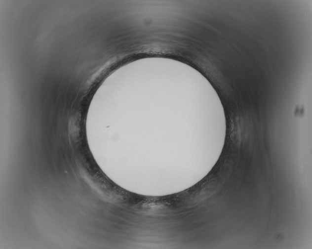 X0000110770208200907131241