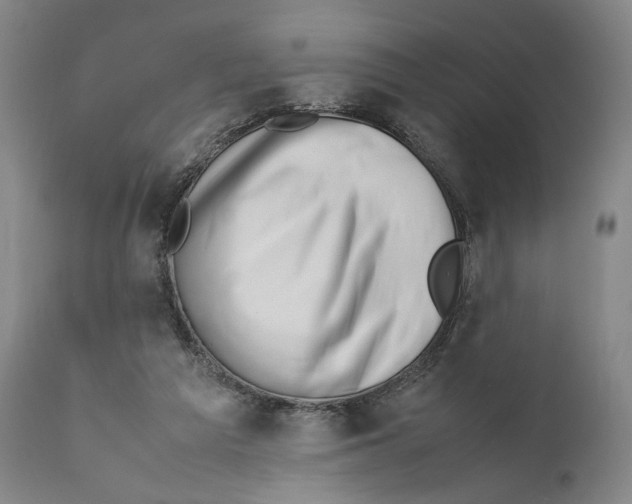 X0000110770209200907131241