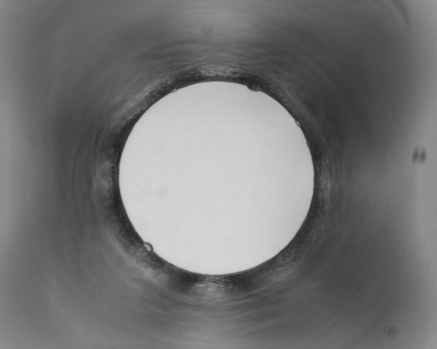 X0000110770211200907131241