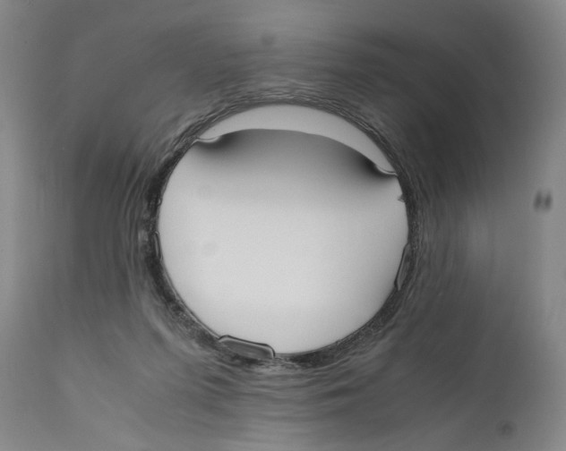 X0000110770215200907131241