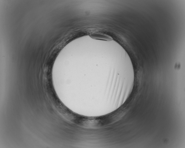 X0000110770217200907131241