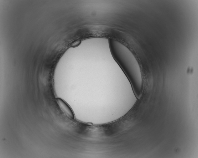 X0000110770221200907131241