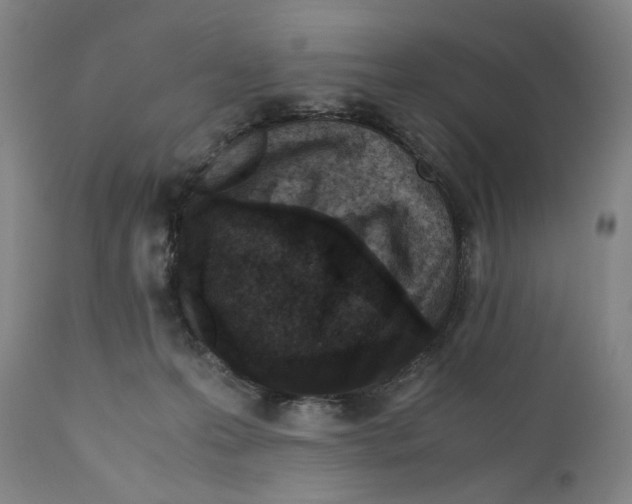 X0000110770223200907131241