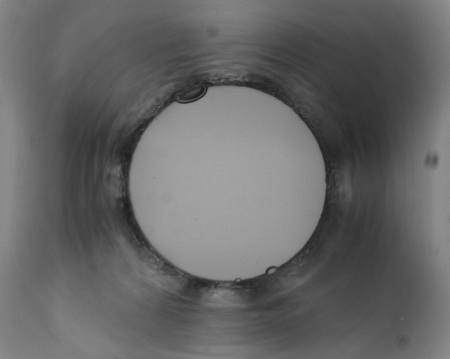 X0000110770224200907131241