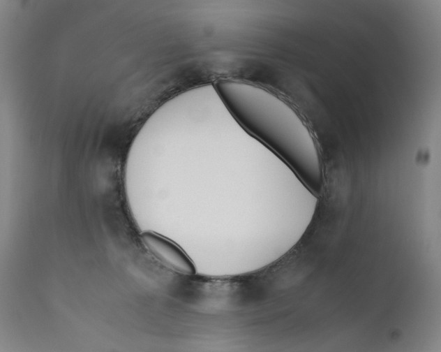 X0000110770225200907131241