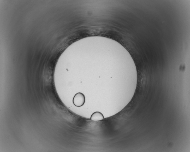 X0000110770226200907131241