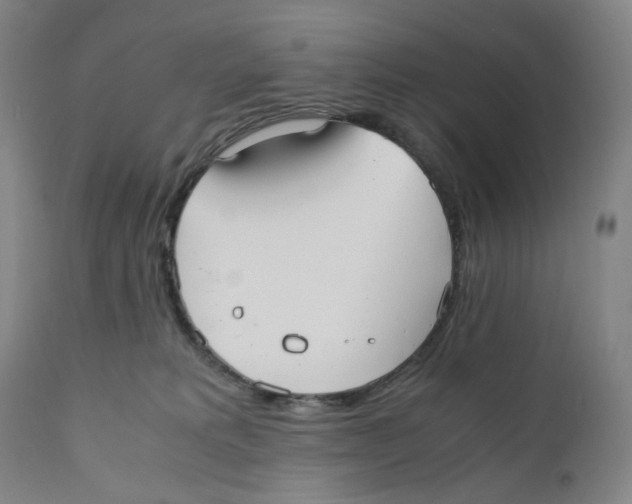 X0000110770229200907131241