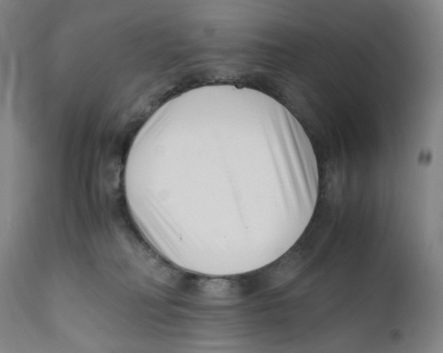 X0000110770230200907131241