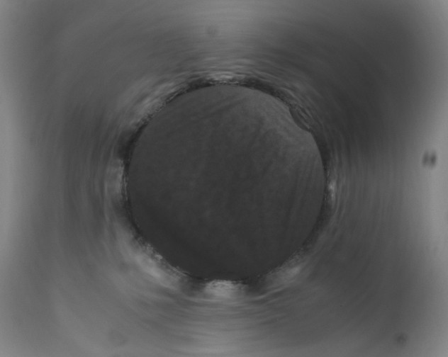 X0000110770231200907131241