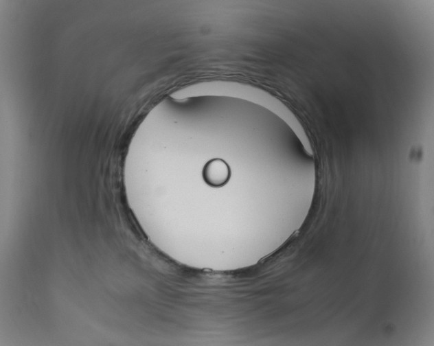 X0000110770233200907131241