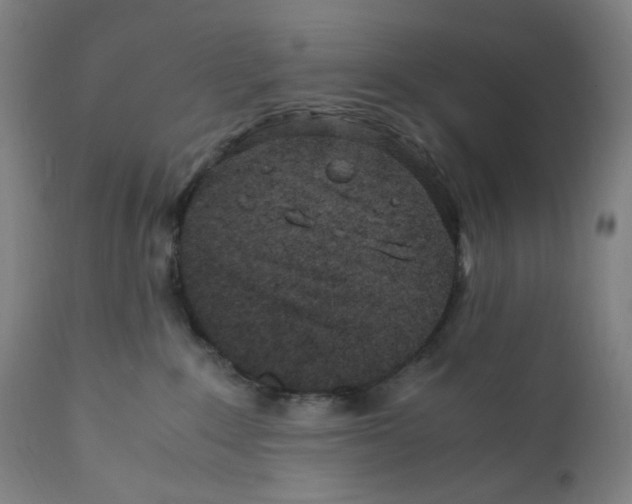 X0000110770235200907131241