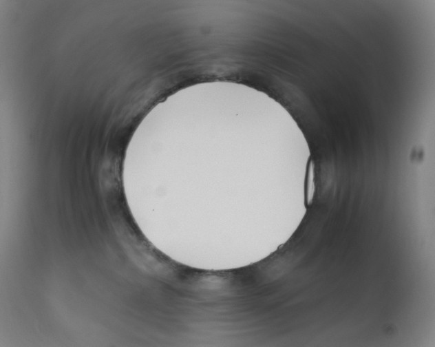 X0000110770236200907131241