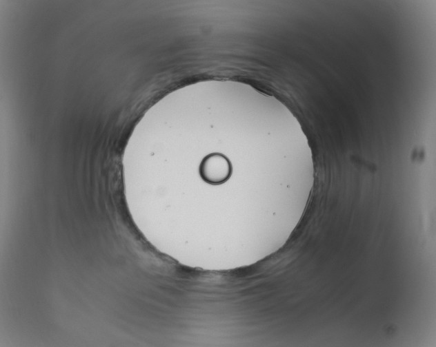 X0000110770237200907131241