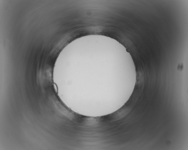 X0000110770238200907131241