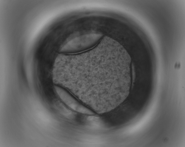 X0000110770239200907131241