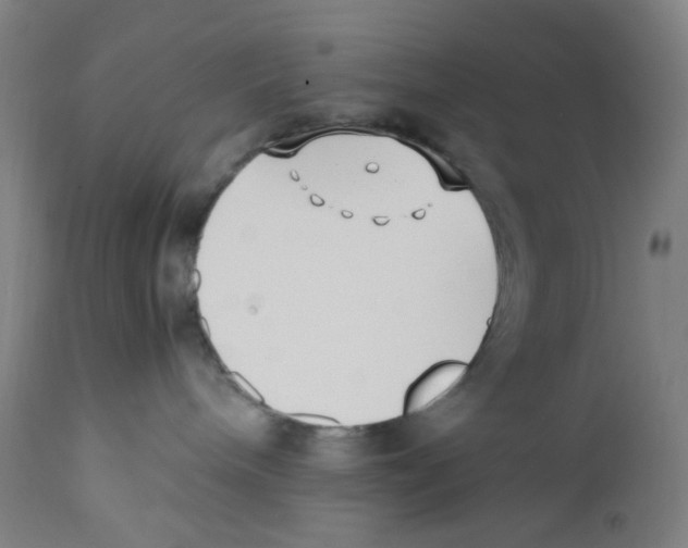 X0000110770240200907131241