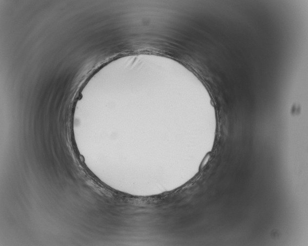 X0000110770241200907131240