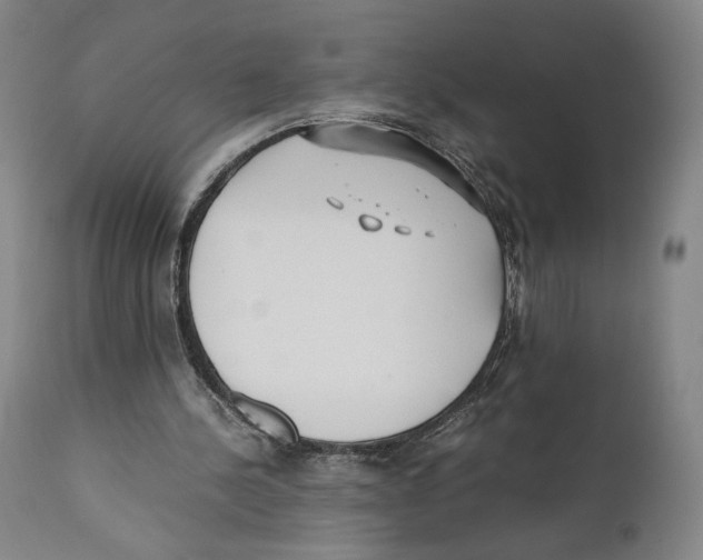 X0000110770244200907131240