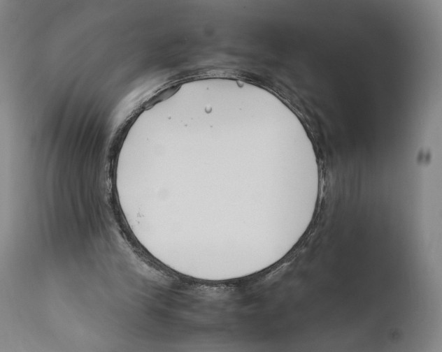 X0000110770245200907131240