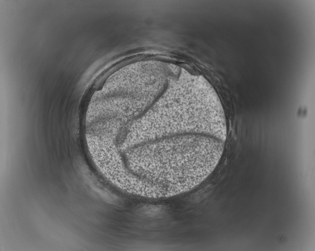 X0000110770247200907131240