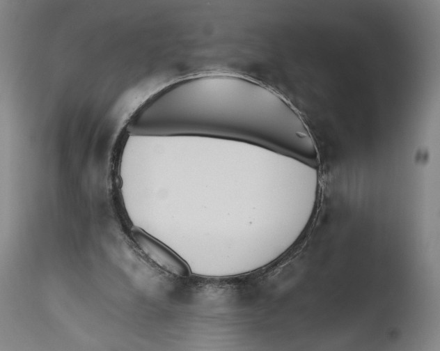 X0000110770248200907131240