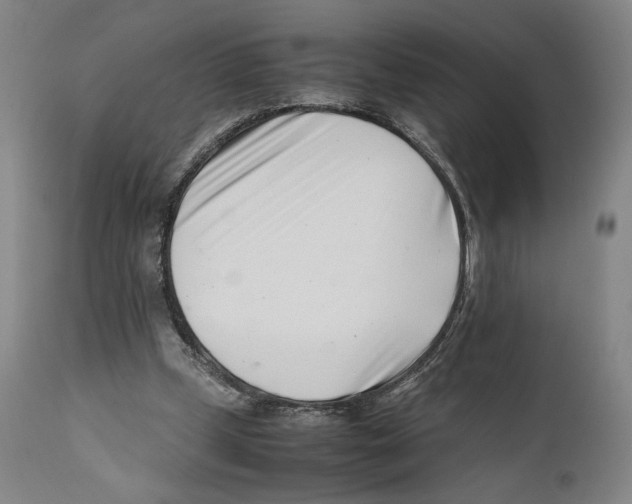 X0000110770249200907131240